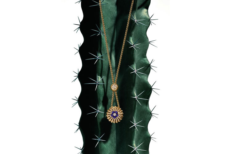 Cactus de Cartier13ag16 10