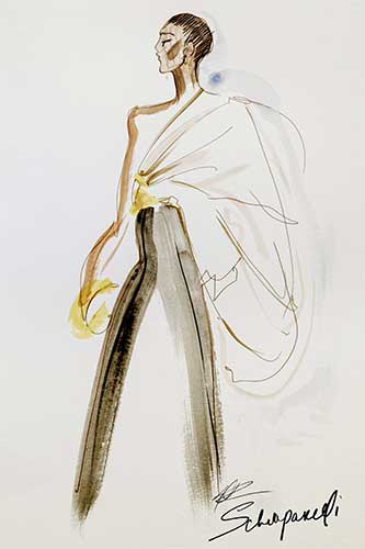 Schiaparelli 8 7 20 2